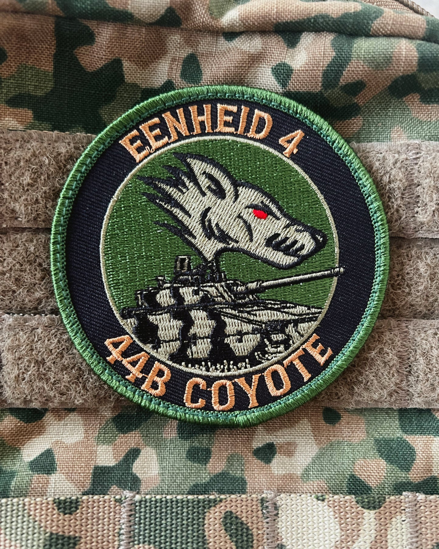 44B Coyote patch