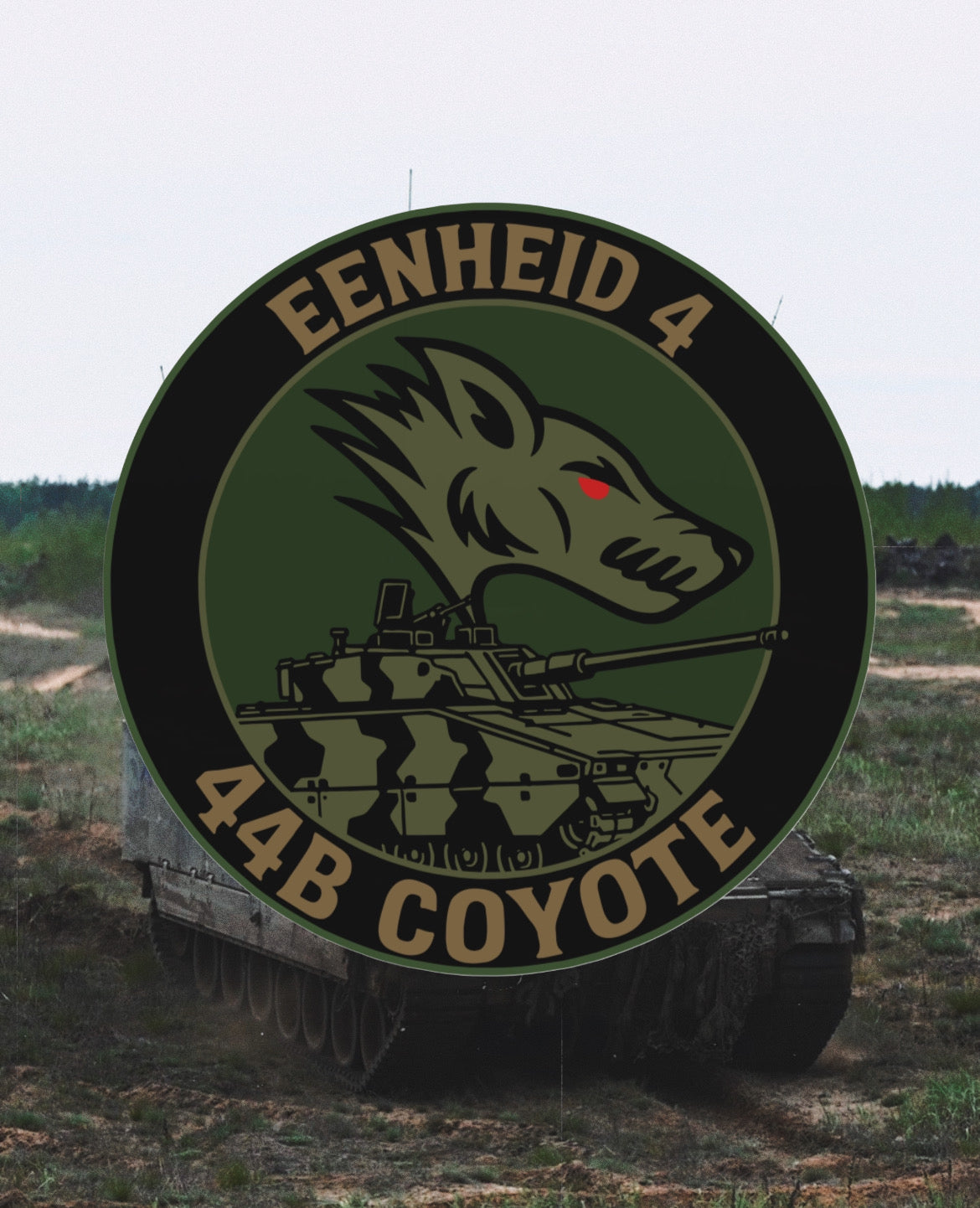 44B Coyote patch